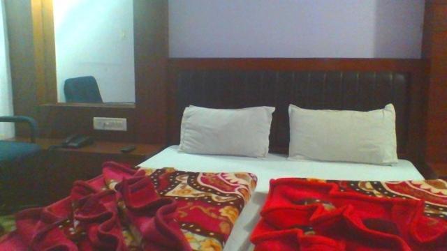 Hotel Sahara International Deluxe Nové Dillí Pokoj fotografie